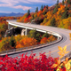 Illustration for article titled Autumn